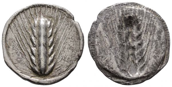 Griechen Lucania Metapontum AR Stater 550-470 v.u.Z. Av.: Kornähre, Rv.: Incuse Kornähre, Kratzer, etwas untergewichtig  Noe 172 6.30 g. ss