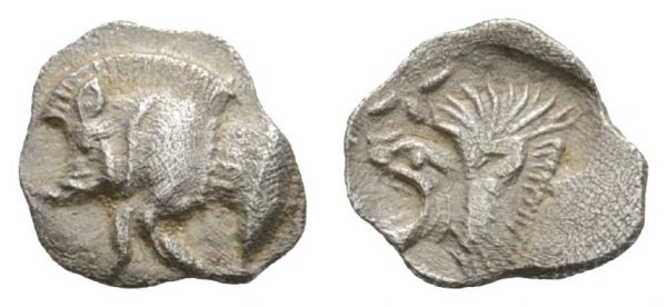Griechen Mysia Kyzikos AR Hemiobol ca. 480-450 v.u.Z. Av.: Eberprotom, darunter Thunfisch, Rv.: Löwenkopf, davor Stern  SNG Cop. 52 0.37 g. ss-vz