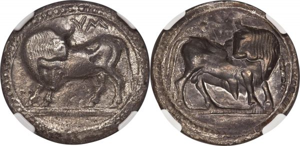 Lot 30003 > LUCANIA. Sybaris. Ca. 550-510 BC. AR stater or nomos (30mm, 7.90 gm, 12h). NGC AU 5/5 - 2/5, bent. Bull standing left, head right, on beaded double ground line; VM above, beads between double linear border / Obverse, incuse and reversed, without legend. HN Italy 1729. SNG ANS 817-46.