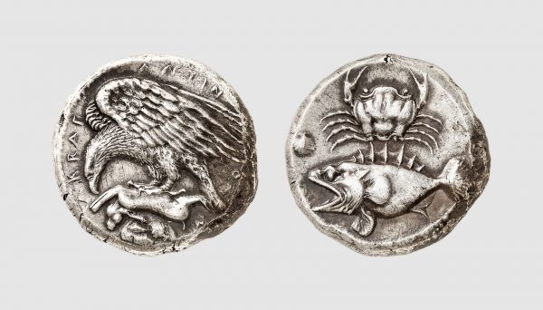 Sicily. Acragas. 420-415 BC. AR Tetradrachm (17.23g, 3h). Bank Leu 1976 (15) lot 51 (same dies); Westermark 529.6 (same dies). Very rare. Less than ten known from these dies. Old cabinet tone. Perfectly centered and struck. Insignificant marks and die breaks. Among the most fascinating and masterly engraved compositions of the entire Sicilian series. Superb extremely fine. From a private collection, acquired from Tradart, Brussels, 1988; possibly from the 1960 Pachino hoard (IGCH 2090)
 
 The identification of this remarkable fish has caused some controversy. It has been called a gurnard, a John Dory or most often a stone-bass... The most convincing identification is however that given by Zeuner, who concludes that it is not a Cernia, but a related sea-perch or mero (Epinephelus guaza), a very large species reaching four feet in length. Both species appear in Aristotle under the common name Orphos. The enormous mouth is shown gaping, and Zeuner assumes that the reason for this is that engraver 