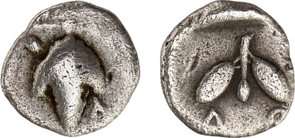 LOKRIS, Lokri Opuntii. Circa 410-400 BC. AR Obol (0.85g). Bunch of grapes hanging from vine tendril. Rev. Olive sprig. Corpus group 11. Babelon 443. Lightly toned. Apparently the second known example of this variety. Choice fine. Former Basil Demetriadi collection, Numismatica Ars Classica 2010 (55) lot 6