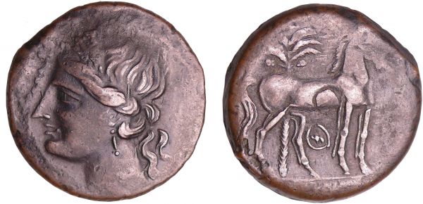 Siculo-Puniques - Carthage - Bronze (220-210 av. J.-C.) A/ Tête de Tanit à gauche. R/ Cheval à droite regardant devant, une lettre punique entre les pattes. (REF: GC.6507-Müller.154)