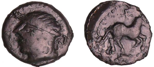 Carnutes - Bronze au cheval et au sanglier (60-40 av. J.-C.) A/ Anépigraphe. Tête diadémée à gauche.  R/ Cheval sous une croisette à droite, un sanglier en-dessous. (REF: LT.6202-BN.6202-6212-DT.2605)