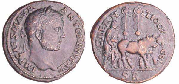 Caracalla - Bronze (198-217, Pisidia, Antioche) A/ MP CAES M AVR ANTONINVS AVG Tête laurée à droite. R/ ANTIOCH COL CAES // S R Attelage de bœufs à droite. (REF: SNG France 1146)